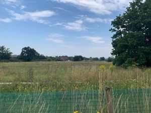 Photo 6- click for photo gallery